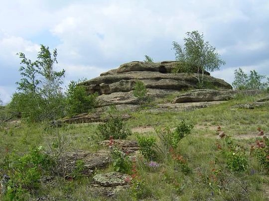 Гора Палати – самая высокая точка Карталинского района, которая расположена в 6 км юго-западнее с. Великопетровка. Абсолютная высота – 427м выше уровня моря (на топокарте 400,6 м), относительная - 30м.